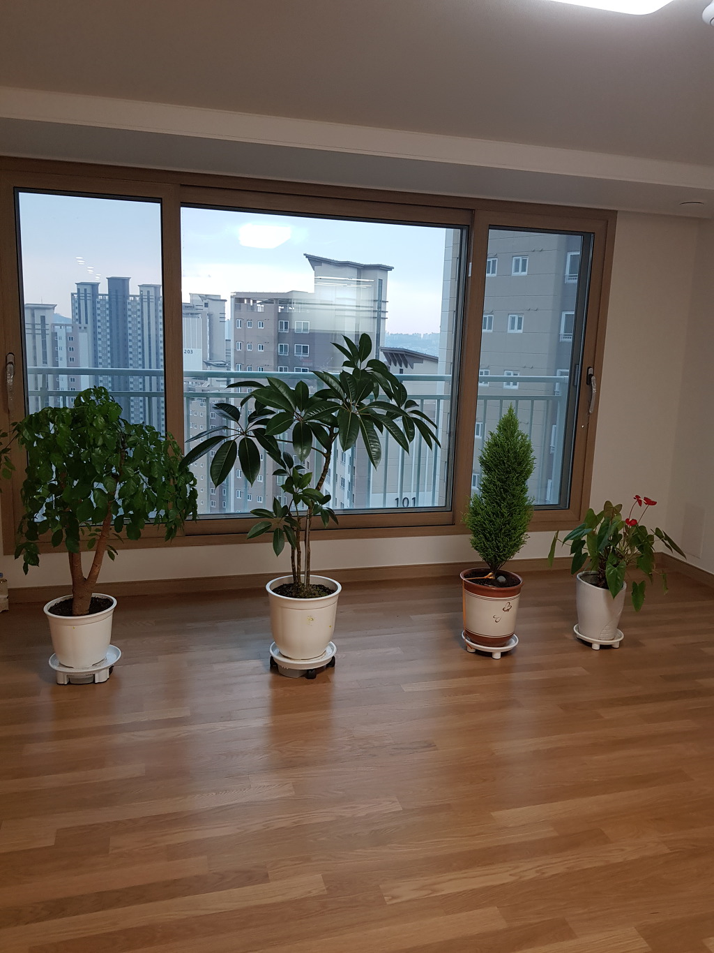 832901770_s28Dy1ZW_d7f7b4a2da5153f8288bc7c3d641be3999658595.jpg 이미지크게보기